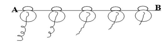 Đề thi thử Sinh Tốt nghiệp THPT 2025-2026 Liên trường THPT Đô Lương 3, Phan Đăng Lưu, Tân Kỳ (Nghệ An)