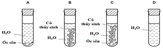 Đề thi thử Sinh Tốt nghiệp THPT 2025-2026 Liên trường THPT Đô Lương 3, Phan Đăng Lưu, Tân Kỳ (Nghệ An)