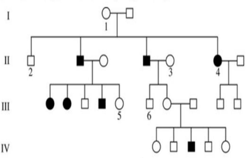 Đề thi thử Sinh Tốt nghiệp THPT 2025-2026 trường TH-THCS-THPT Lê Thánh Tông (TP.HCM)