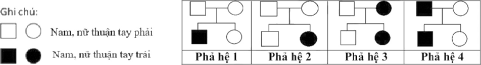 Đề thi thử Sinh Tốt nghiệp THPT 2025-2026 trường THPT Chuyên Hạ Long (Quảng Ninh)