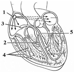 Đề thi thử Sinh Tốt nghiệp THPT 2025-2026 trường THPT Chuyên Hạ Long (Quảng Ninh)