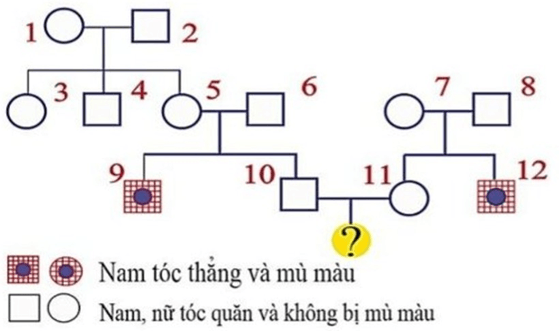 Đề thi thử Sinh Tốt nghiệp THPT 2025-2026 trường THPT Chuyên Hạ Long (Quảng Ninh)