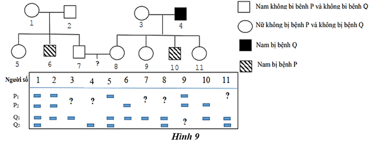 Đề thi thử Sinh Tốt nghiệp THPT 2025-2026 trường THPT Hàm Rồng (Thanh Hóa)