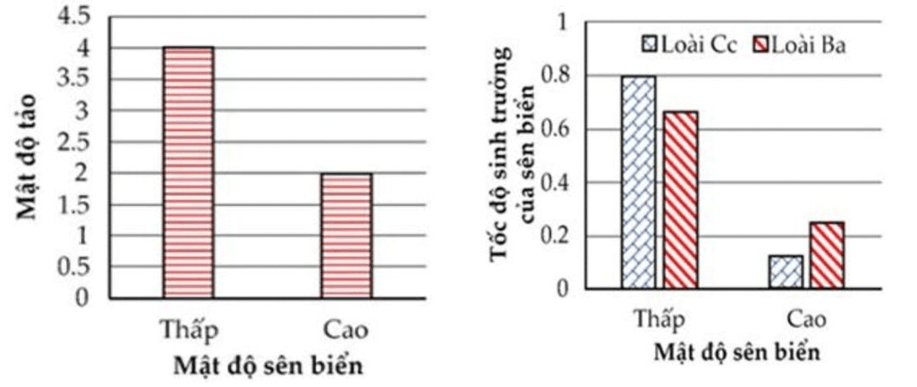 Đề thi thử Sinh Tốt nghiệp THPT 2025-2026 trường THPT Hàn Thuyên (Bắc Ninh)
