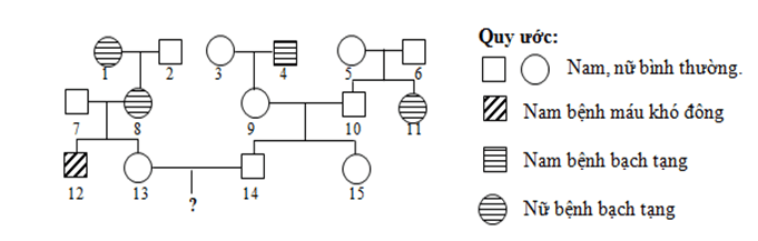 Đề thi thử Sinh Tốt nghiệp THPT 2025-2026 trường THPT Tĩnh Gia 4 (Thanh Hóa)