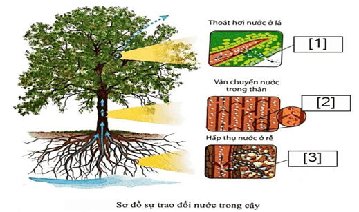 Đề thi thử Sinh Tốt nghiệp THPT 2025-2026 trường THPT Triệu Sơn 1 (Thanh Hóa)