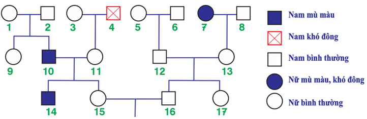 Đề thi thử Sinh Tốt nghiệp THPT 2025-2026 trường THPT Triệu Sơn 1 (Thanh Hóa)