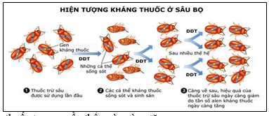 Đề thi thử Sinh Tốt nghiệp THPT 2025-2026 trường THPT Triệu Sơn 1 (Thanh Hóa)