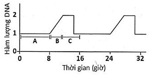 Đề thi thử Sinh Tốt nghiệp THPT 2025-2026 trường THPT Việt Yên Số 1 (Bắc Ninh)