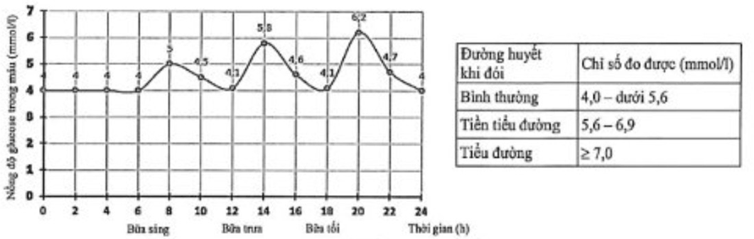 Đề thi thử Sinh Tốt nghiệp THPT 2025-2026 trường THPT Việt Yên Số 1 (Bắc Ninh)