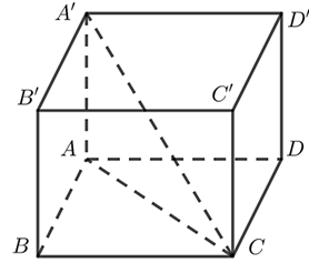 Đề thi thử Toán Tốt nghiệp THPT 2025-2026 trường THPT Đồng Hỷ (Thái Nguyên)