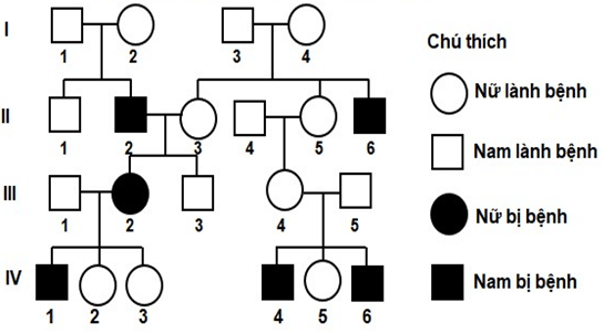 Đề thi thử tốt nghiệp 2024 Sinh (cả nước, có lời giải)