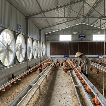 Đề thi Tốt nghiệp THPT Công nghệ Nông nghiệp 2026 (có lời giải)