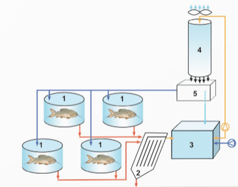 Đề thi Tốt nghiệp THPT Công nghệ Nông nghiệp 2026 (có lời giải)
