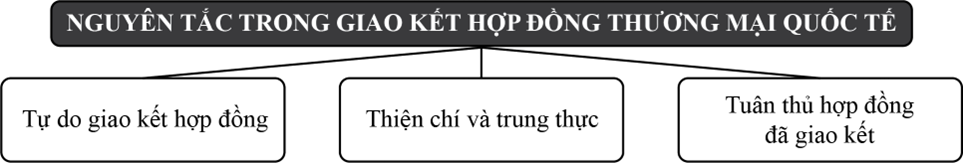 (Tổng ôn KTPL) Nguyên tắc cơ bản của tổ chức thương mại thế giới và hợp đồng thương mại quốc tế