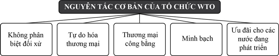 (Tổng ôn KTPL) Nguyên tắc cơ bản của tổ chức thương mại thế giới và hợp đồng thương mại quốc tế