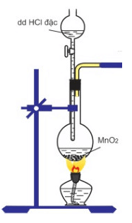 Cu(OH)2 + HCl → CuCl2 + H2O | Cu(OH)2 ra CuCl2