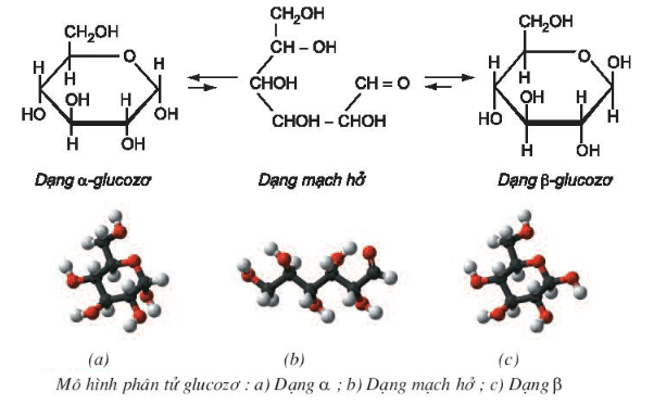 C6H12O6 →  CO2 + C2H5OH | C6H12O6 ra C2H5OH (lên men rượu)