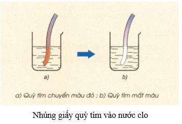 Ca(OH)2 + Cl2 →  H2O + CaCl2 + Ca(ClO)2 | Ca(OH)2 ra CaCl2 | Ca(OH)2 ra Ca(ClO)2 | Cl2 ra CaCl2 | Cl2 ra Ca(ClO)2