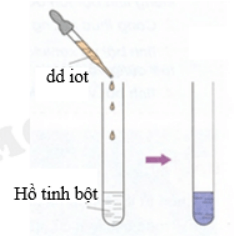 Cách nhận biết tinh bột nhanh nhất