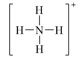 Công thức Lewis của NH4+