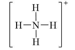 Công thức Lewis của NH4+