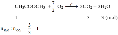 2CH<sub>3</sub>COOCH<sub>3</sub> +  7O<sub>2</sub> → 6CO<sub>2</sub> + 6H<sub>2</sub>O | CH3COOCH3 ra CO2