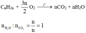 C<sub>2</sub>H<sub>4</sub> + 3O<sub>2</sub> → 2CO<sub>2</sub> + 2H<sub>2</sub>O | C2H4 ra CO2