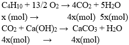 2C<sub>4</sub>H<sub>10</sub> + 13O<sub>2</sub> → 8CO<sub>2</sub> + 10H<sub>2</sub>O | C4H10 ra CO2