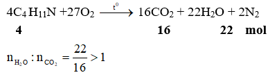 C4H11N +O2  → CO2 + N2 + H2O