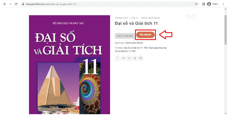 Sách Đại số và Giải tích 11 (ảnh 1)