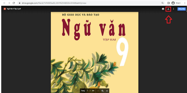 Sách Ngữ văn 9 (ảnh 1)