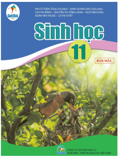 Sinh học 11 Cánh diều pdf