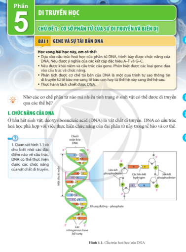 PDF Sinh học 12 Cánh diều