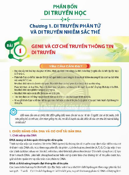 PDF Sinh học 12 Chân trời sáng tạo