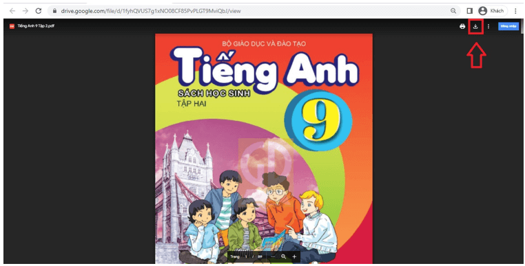 Sách Tiếng Anh 9 (ảnh 1)