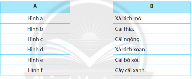 Nối các hình (cột A) với tên cây trồng (cột B) sao pho phù hợp