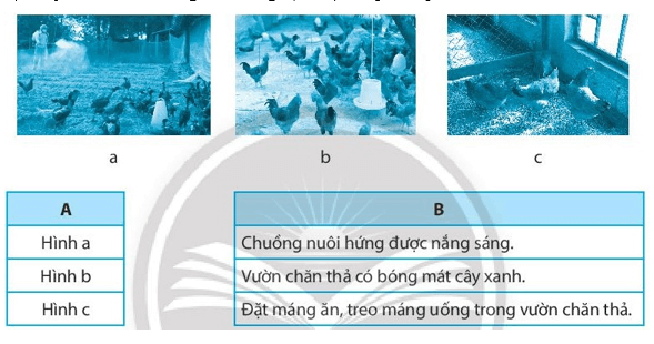 Nối hình ảnh (cột A) với yêu cầu của chuồng trại nuôi gà (cột B) cho phù hợp