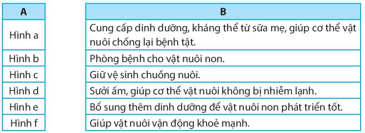 Nối hình ảnh (cột A) với vai trò của công việc nuôi dưỡng và chăm sóc vật nuôi non (cột B) cho phù hợp