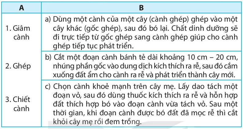 Nối phương pháp nhân giống ở cột A với mô tả ở cột B cho phù hợp