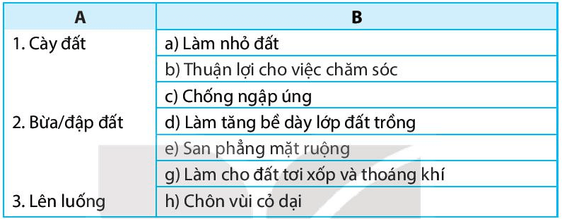 Nối tên của công việc làm đất ở cột A với vai trò ở cột B cho phù hợp