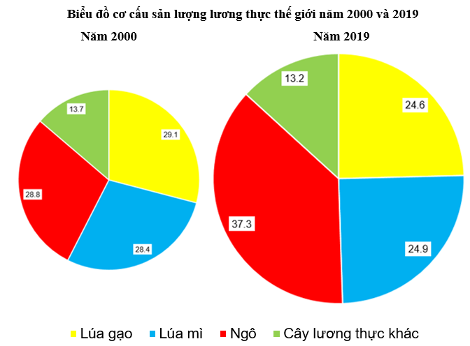 Sách bài tập Địa Lí 10 Bài 27: Thực hành: Vẽ và nhận xét biểu đồ về sản lượng lương thực của thế giới | SBT Địa Lí 10 Kết nối tri thức