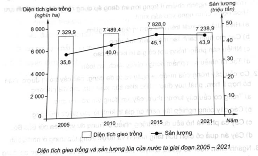 Trong các năm trên biểu đồ, năm nào có năng suất lúa cao nhất?