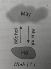 Bài 17: Các thành phần chủ yếu của thủy quyển. Tuần hoàn nước trên Trái Đất