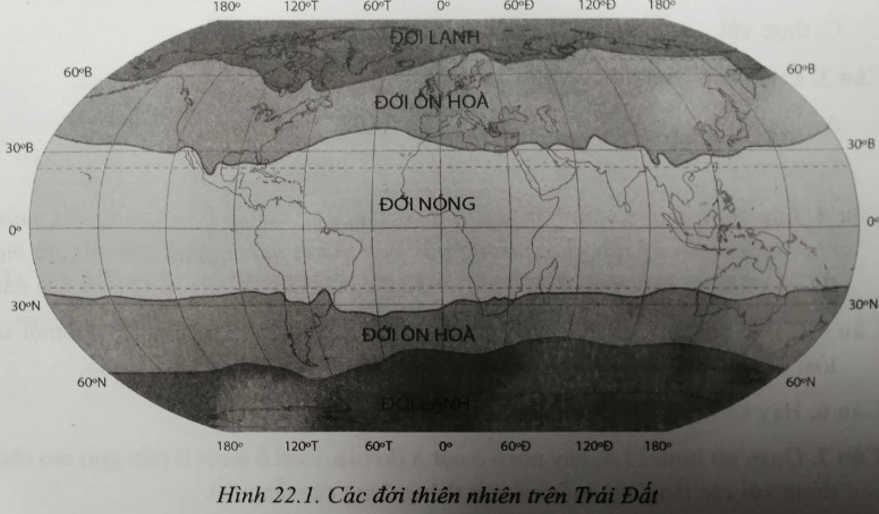 Bài 22: Sự đa dạng của thế giới sinh vật. Các đới thiên nhiên trên Trái Đất. Rừng nhiệt đới