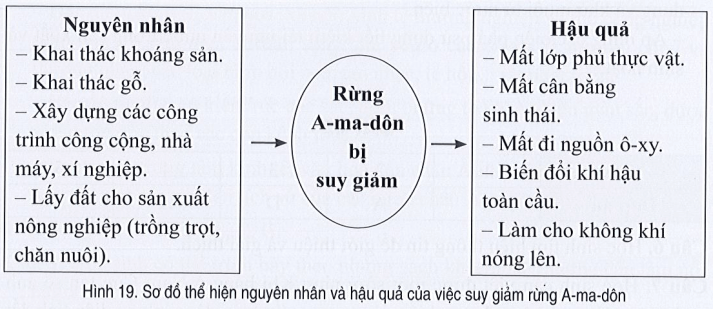 Cho các cụm từ sau trang 80 SBT Địa Lí 7