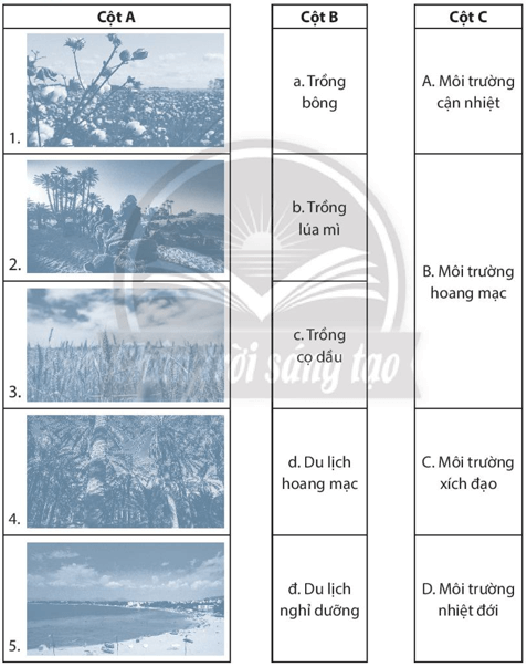 Hãy nối các hình (ở cột A) với các thông tin tương ứng (ở cột B và C)