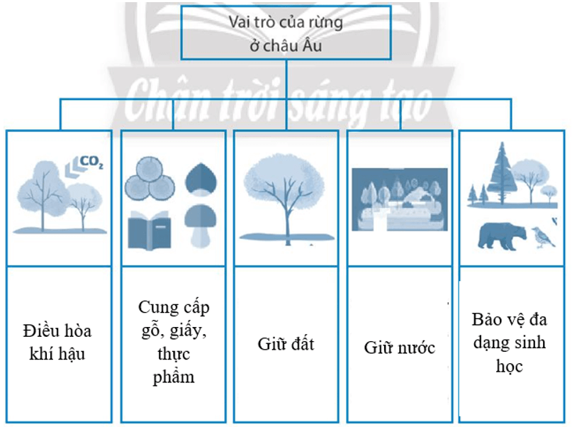 Hãy lựa chọn cụm từ thích hợp trong hộp thông tin và điền vào chỗ trống