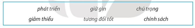 Hãy sử dụng những cụm từ sau để hoàn thành đoạn thông tin dưới đây