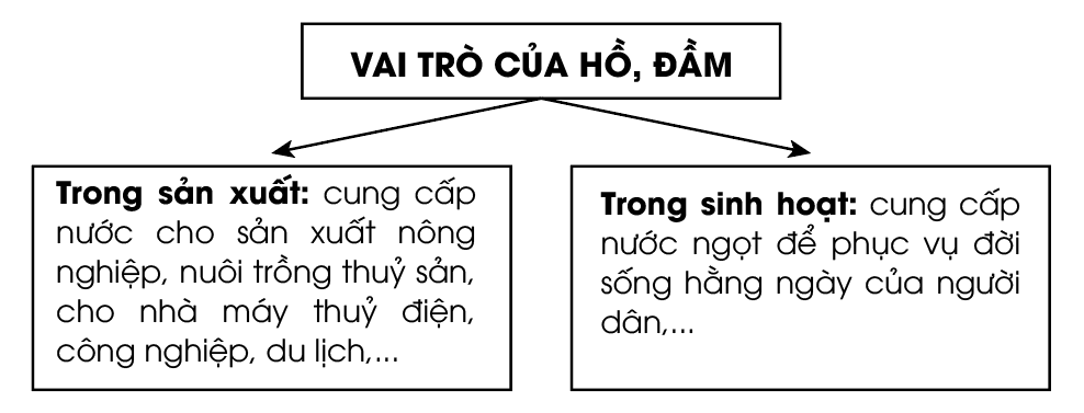 Vẽ sơ đồ thể hiện vai trò của hồ đầm ở nước ta